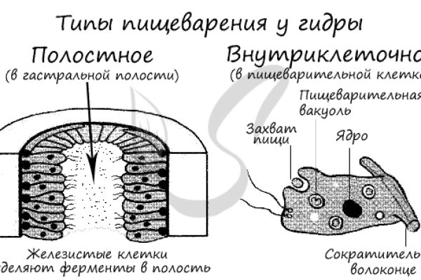 Кракен вместо гидры