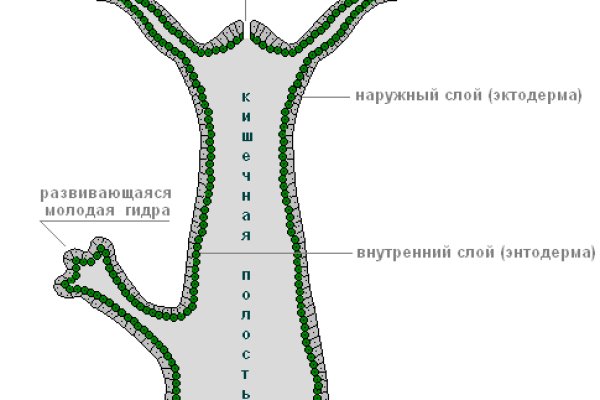 Кракен не приходят деньги