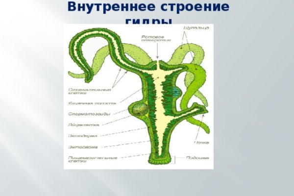 Даркнет заказ